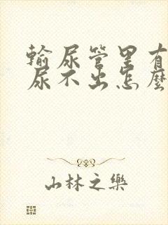 输尿管里有结石尿不出怎么办