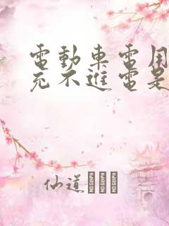 电动车电用完了充不进电是怎么回事