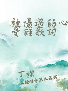 被伤过的心还能爱谁歌词
