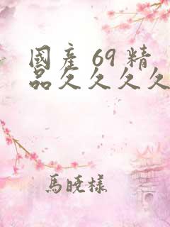 国产 69 精品久久久久久
