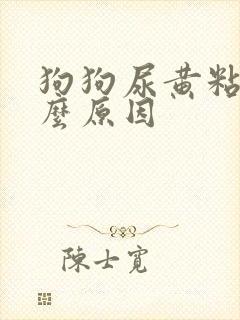 狗狗尿黄粘稠什么原因