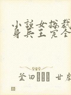 小说女总裁的贴身兵王完全版