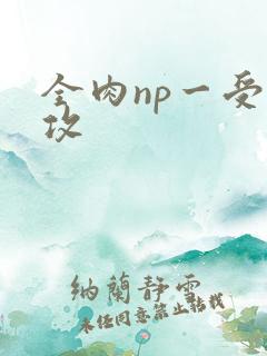 全肉np一受多攻