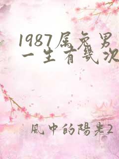 1987属兔男一生有几次婚姻