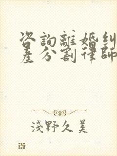 咨询离婚纠纷财产分割律师