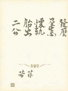 二胎怀孕发现老公出轨怎么办