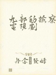 九部的检察官 电视剧