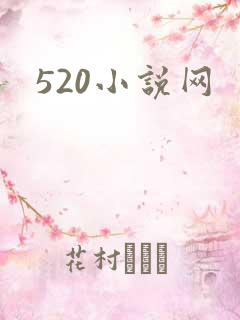 520小说网