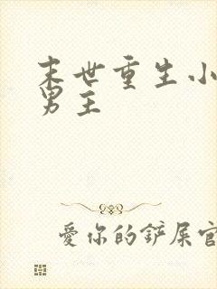 末世重生小说双男主