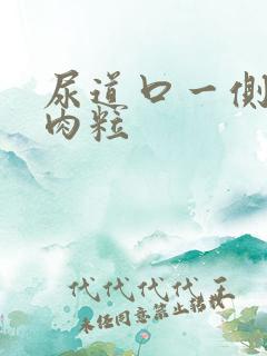 尿道口一侧有小肉粒