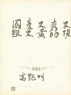 国产又爽又猛又粗又黄的视频