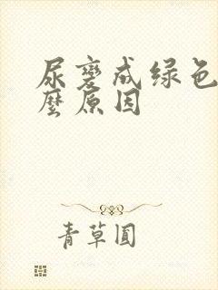 尿变成绿色是什么原因