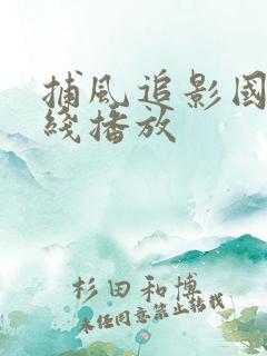 捕风追影国语在线播放