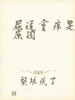 尿道会痒是什么原因