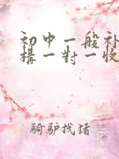 初中一般补习机构一对一收费