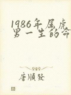 1986年属虎男一生的命运怎么样