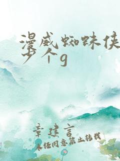 漫威蜘蛛侠2多少个g
