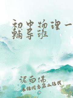 初中物理一对一辅导班