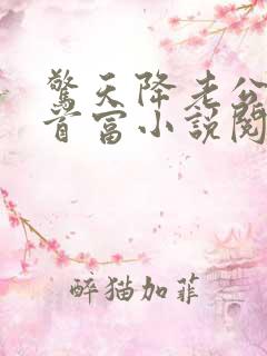 惊天降老公竟是首富小说阅读免费