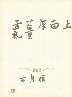 舌苔厚白上火湿气重