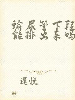 输尿管下段结石能排出来吗