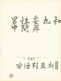 男性睾丸和肛门中间疼