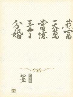 分手当天,我闪婚了亿万富豪 小说下载txt