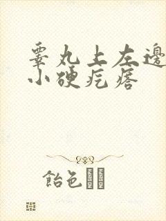 睾丸上左边有个小硬疙瘩