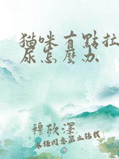 猫咪有点拉不出尿怎么办