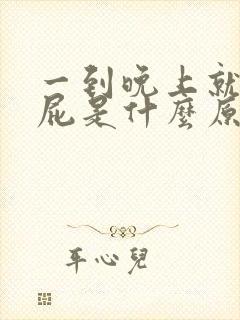 一到晚上就爱放屁是什么原因