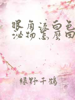 眼角流白色的分泌物怎么回事