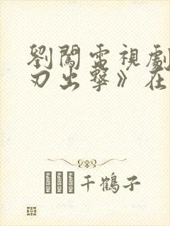 刘闯电视剧《利刃出击》在线观看