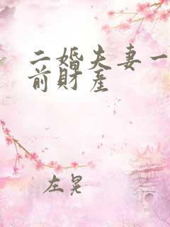 二婚夫妻一方婚前财产