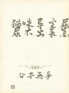 猫咪导完尿还是尿不出来怎么办