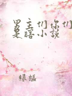 男主们你们是不是瞎小说