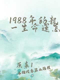 1988年的龙一生命运怎样