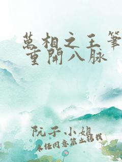 万相之王笔趣阁 重开八脉