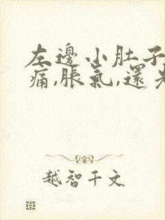 左边小肚子按压痛,胀气,还光放屁