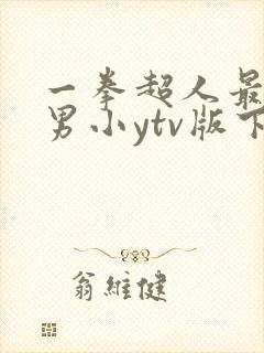 一拳超人最强之男小ytv版下载