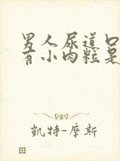 男人尿道口里面有小肉粒是怎么回事