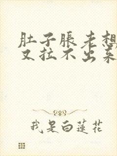 肚子胀老想拉屎又拉不出来怎么回事