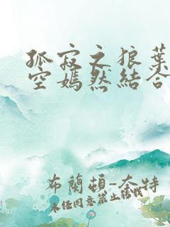 孤寂之狼叶凡司空嫣然结合