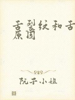 舌裂纹和舌齿痕原因