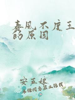 春风不度玉门关的原因