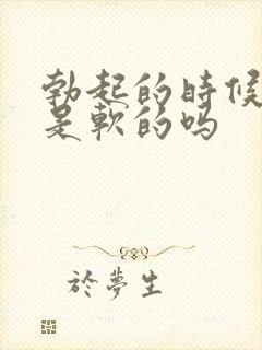 勃起的时候龟头是软的吗