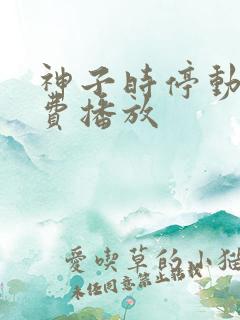 神子时停动漫免费播放