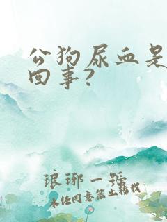 公狗尿血是怎么回事?