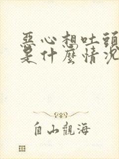 恶心想吐头还晕是什么情况