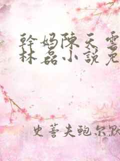 干妈陈天云儿子林磊小说免费阅读