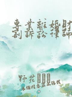 专业离婚财产分割诉讼律师